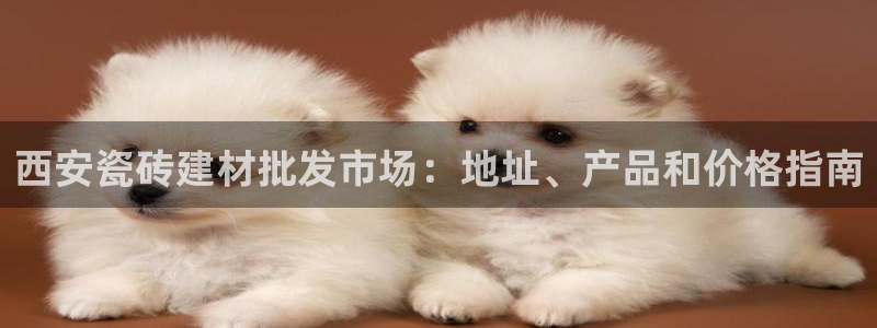 杏鑫平台代理怎么做的