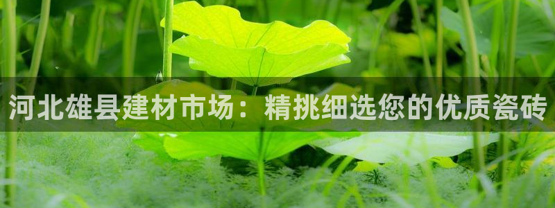 杏鑫平台怎么样黑钱吗是真的吗知乎