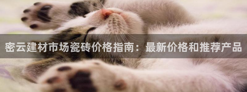 杏鑫娱乐是真的吗还是假的
