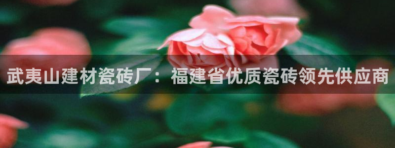 杏鑫娱乐怎么下