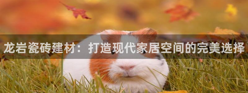 杏鑫平台怎么样黑钱吗安全吗