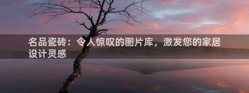 杏鑫平台登录地址是什么