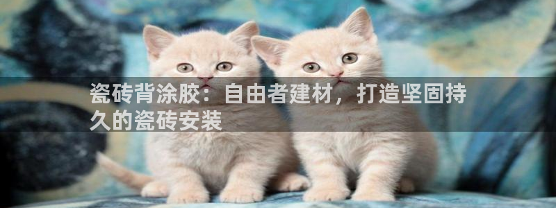 杏鑫招商总代