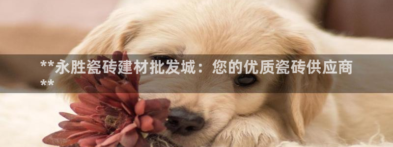 杏鑫娱乐平台登录