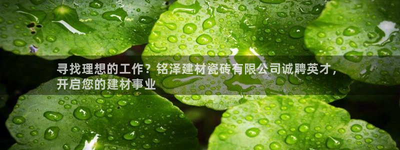 杏鑫平台平台娱乐