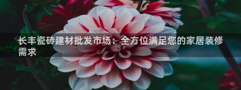杏鑫娱乐多少年了