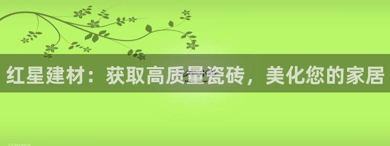 杏鑫3主管