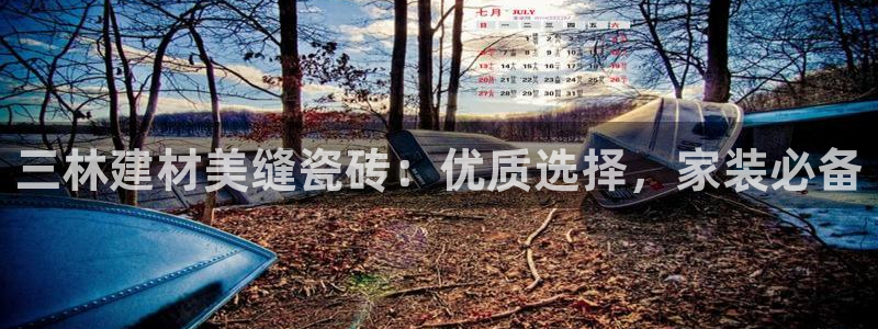杏鑫平台怎么样黑钱吗安全吗可靠吗