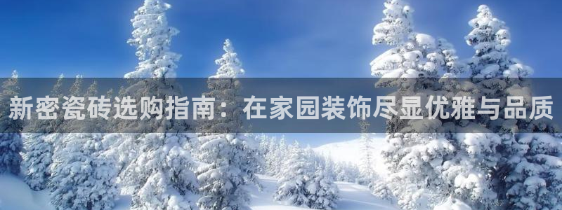 杏鑫官网注册账号密码忘了