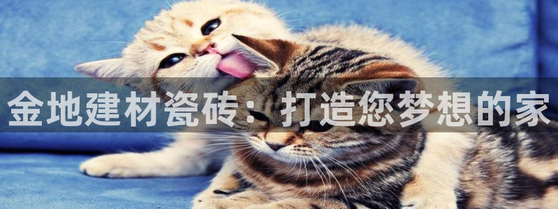 杏鑫平台广7O777