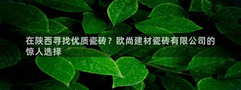 杏鑫娱乐平台测速怎么样