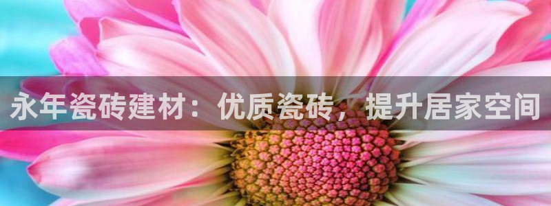 杏鑫娱乐官网下载