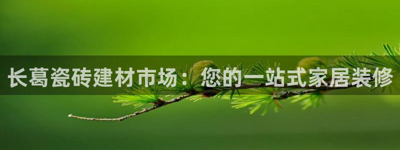 杏鑫娱乐平台登录