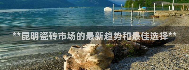 杏鑫平台代理注册多少钱一个