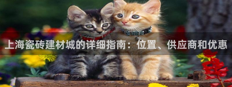 杏鑫平台招商电话号码