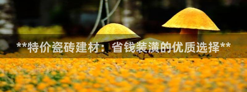 杏鑫平台代理注册流程图