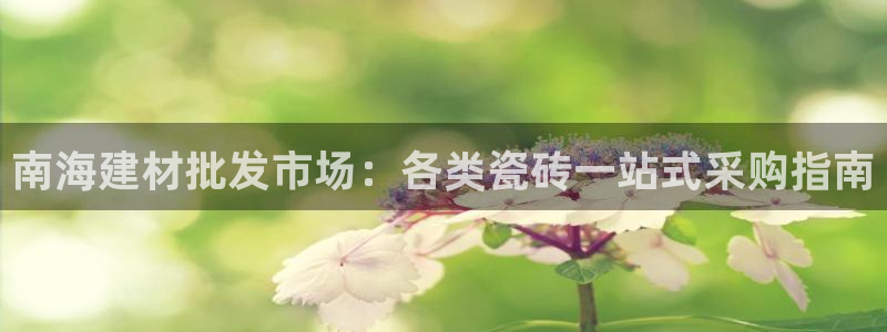 杏鑫手机客户端