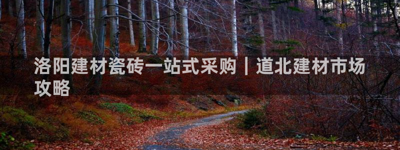 杏鑫官方平台怎么样啊知乎