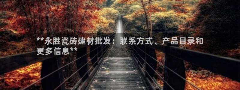 杏鑫平台招商