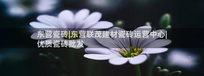 杏鑫平台代理注册多少钱一年