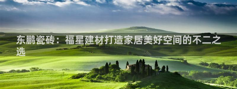 杏鑫代理注册平台