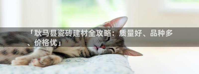 杏鑫平台下载安装