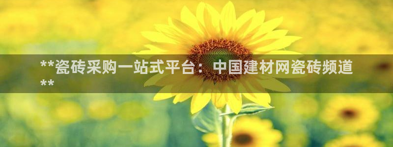 杏鑫平台招商怎么样