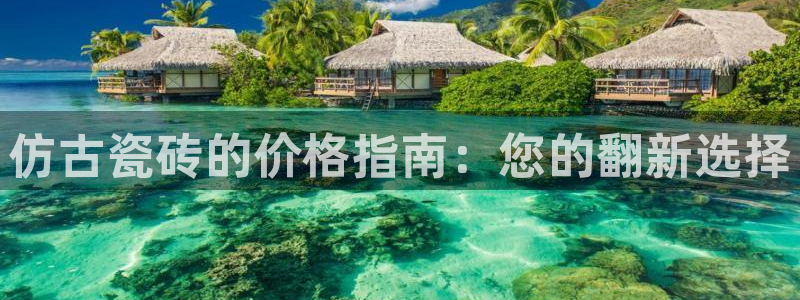 杏鑫平台代理怎么样可靠吗