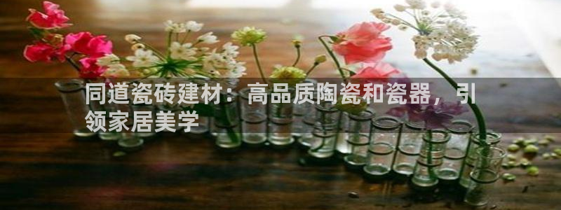 杏鑫平台号7O777