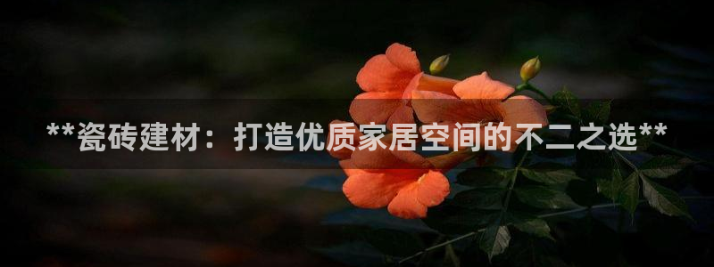 杏鑫官网