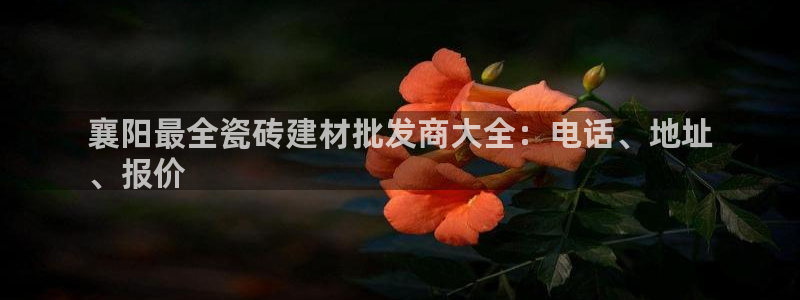 杏鑫平台招商电话