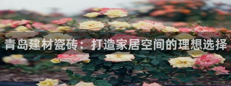 杏鑫娱乐平台登录