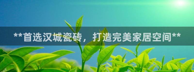 杏鑫官方平台怎么样啊知乎