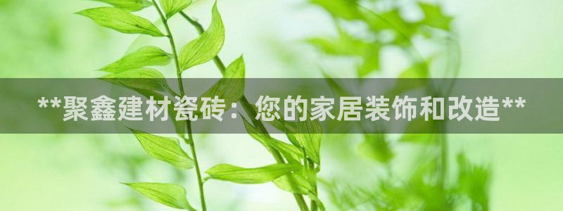 杏鑫平台代理注册流程视频