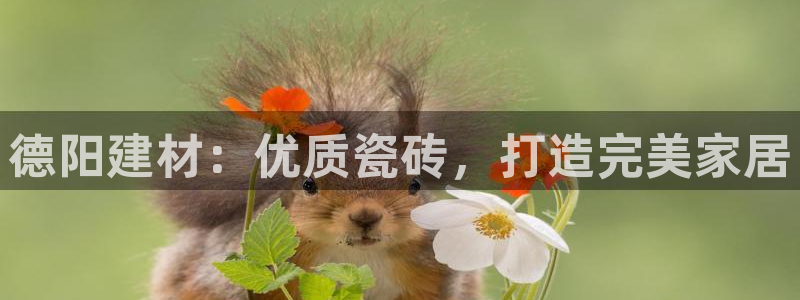 杏鑫娱乐是真的吗还是假的