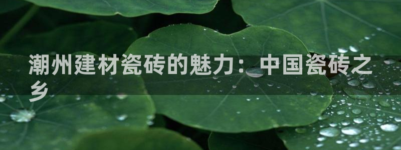 杏鑫娱乐官方网站客户端下载安装