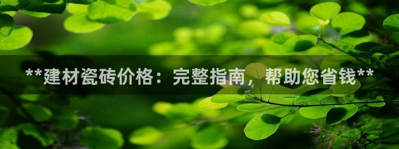 杏鑫代理注册资金多少