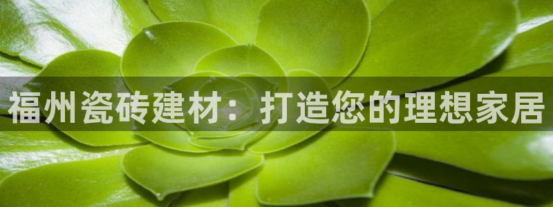 杏鑫手机客户端怎么下载