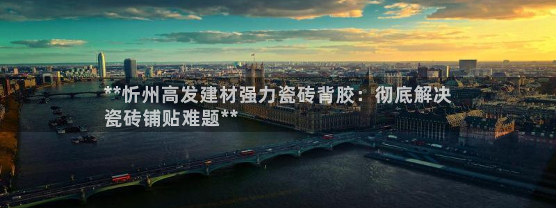 杏鑫有亏损返点吗