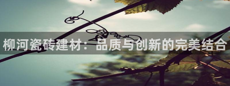 杏鑫平台招商电话是多少