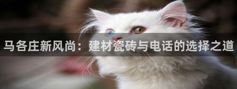 杏鑫平台招商电话是多少
