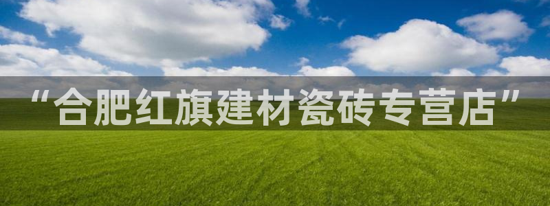 杏鑫代理注册资金多少