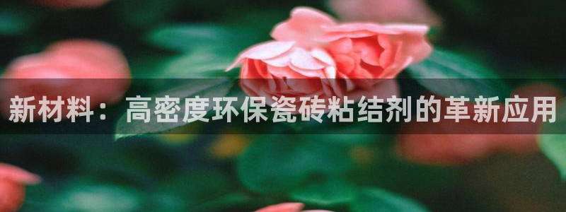 杏鑫官方app代理