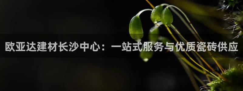 杏鑫平台靠谱吗