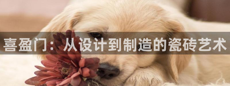 杏鑫娱乐官方网站客户端登录