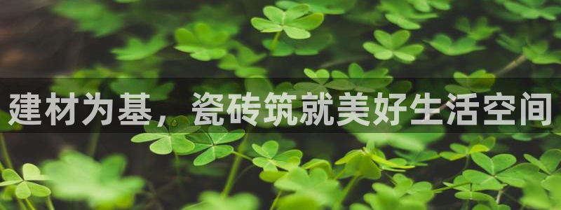 杏鑫娱乐多少年了