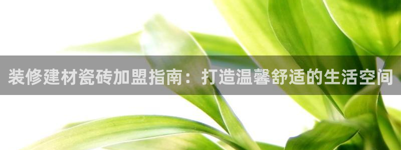 杏鑫官网最新信息新闻
