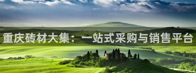 杏鑫平台注册地址