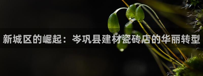 杏鑫平台代理注册