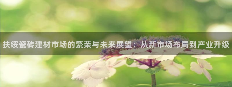 杏鑫平台代理注册多少钱一年